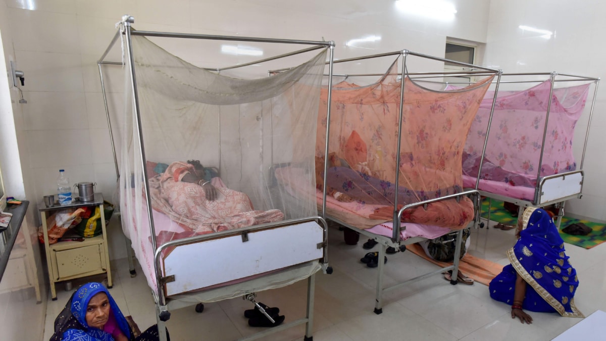 Dengue vs Viral Fever: How To Tell The Difference? Doctor Explains Key Symptoms And Diagnosis | Lifestyle News