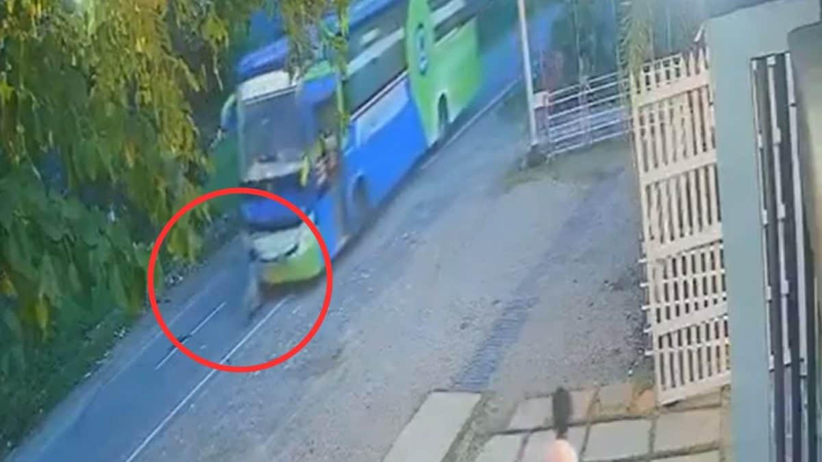 Speeding Biker Dies After Crashing Into Bus In Haldwani, Body Dragged For Few Metres