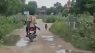 The main accused, identified as Sheochand Bavaria, was seen in the video openly roaming the village with a rifle, targeting stray dogs.