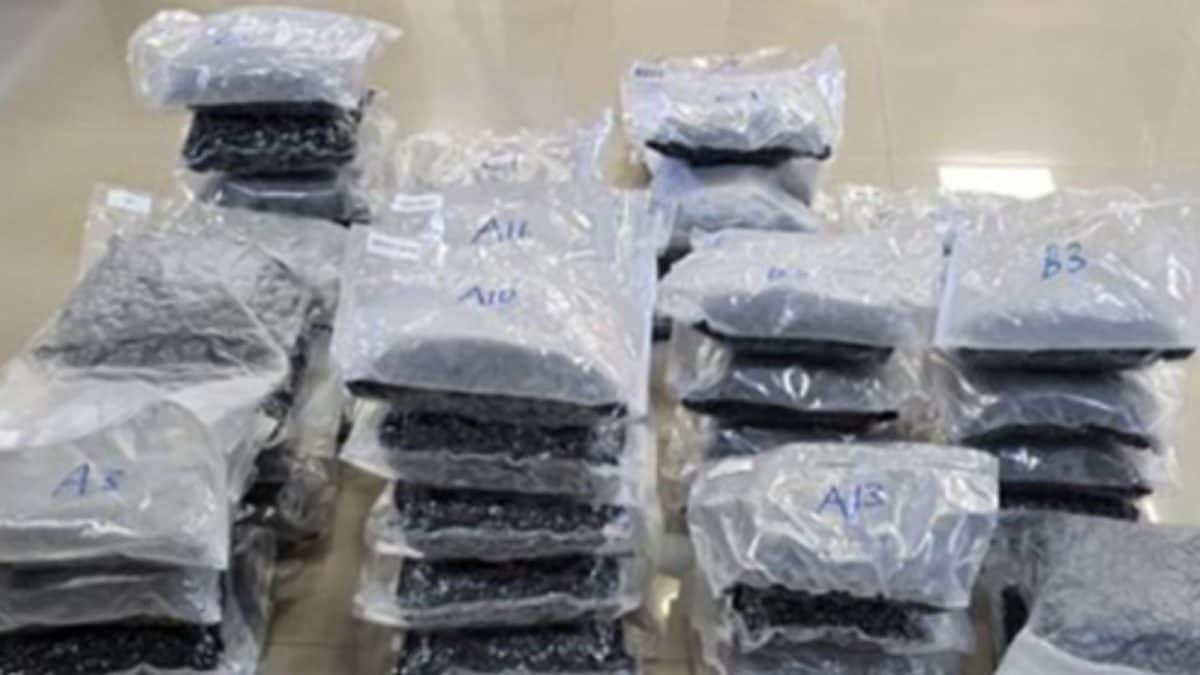 DRI Cracks Drug Syndicate Using Rajdhani Express To Smuggle Hydroponic Weed Worth Rs 72 Crore