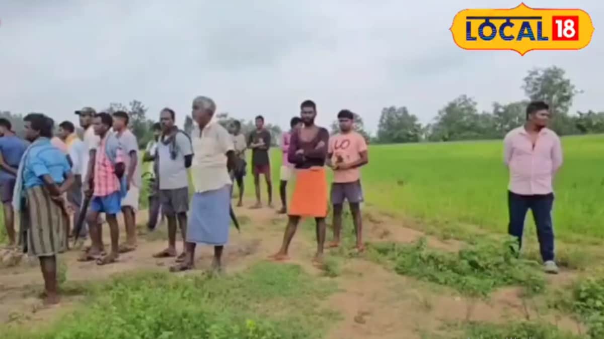 Elephant Crushes Chhattisgarh Man To Death, 6 ‘Wives’ Turn Up To Claim Compensation