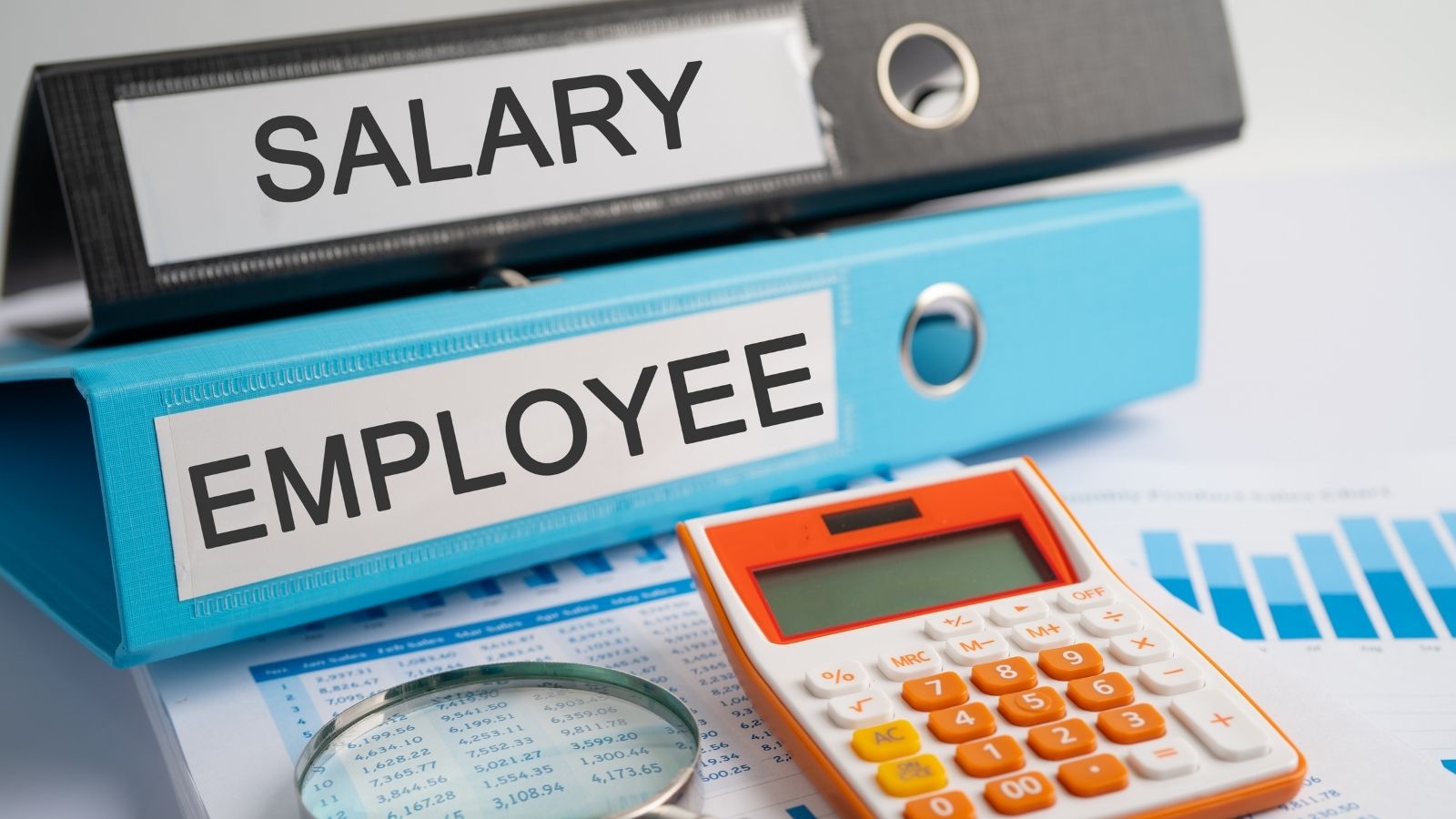 EPF Calculator: Here’s How Rs 5000 Monthly Investment Can Build A Rs 3.5 Crore Retirement Corpus EPF Calculator: Here’s How Rs 5000 Monthly Investment Can Build A Rs 3.5 Crore Retirement Corpus