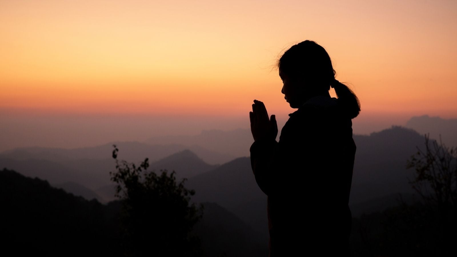 Gita Shlokas Gita Shlokas