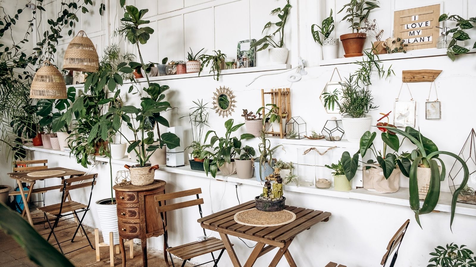 Tips And Tricks To Transform Your Home Into A Nature Retreat