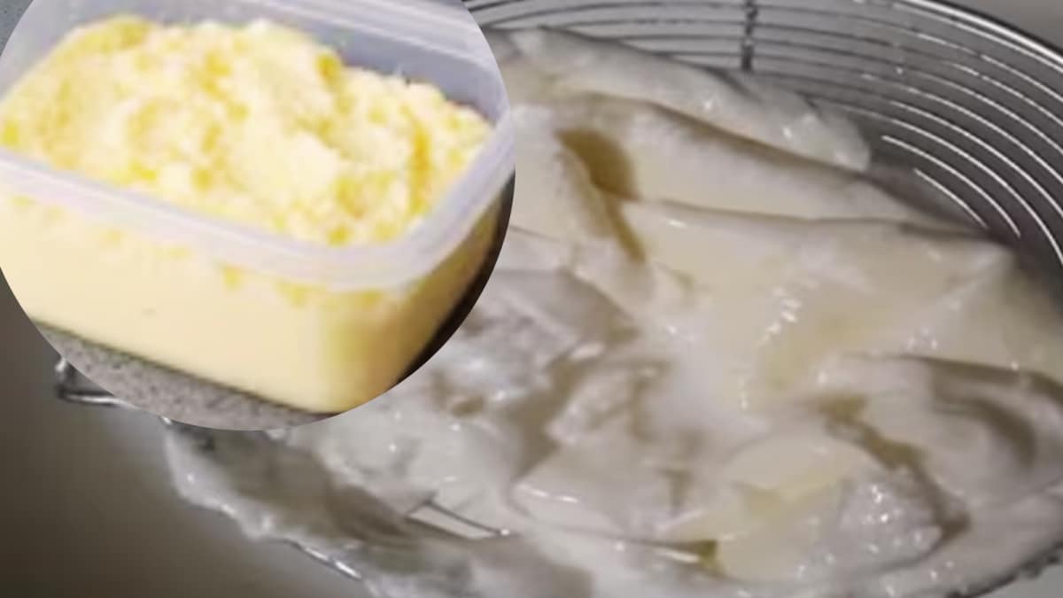 Don’t Let Your Malai Spoil! Check The Right Way To Store It Before Making Ghee