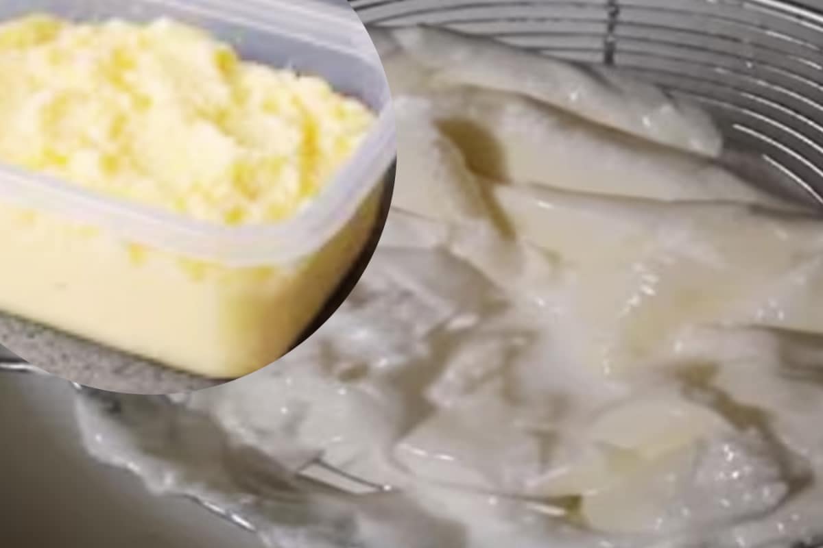Don’t Let Your Malai Spoil! Check The Right Way To Store It Before Making Ghee