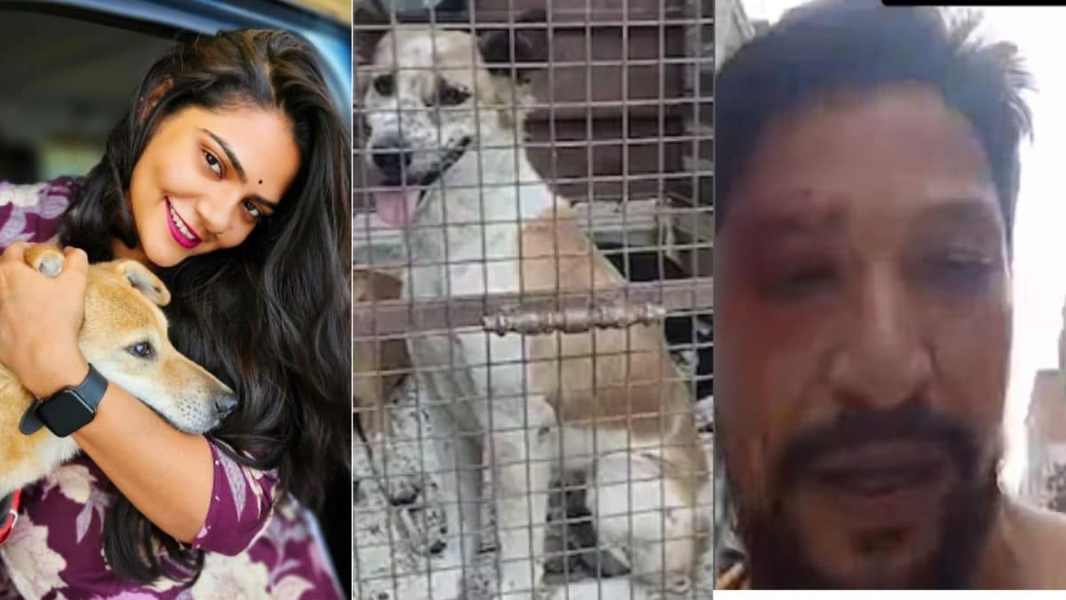 Hyderabad Animal Caregivers Attacked, Police Delay Investigation