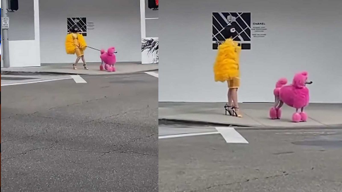 Pink Poodle and Owner Draw Social Media Buzz in Beverly Hills