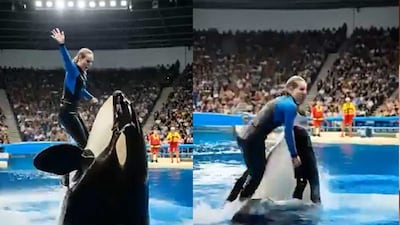 Did Marine Trainer Jessica Radcliffe Die In Orca Attack? Truth Behind Viral Claim | Viral News - News18