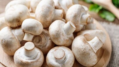 Growing mushrooms at home is not just cost-effective but also ensures you enjoy fresh, chemical-free produce right from your kitchen garden. 