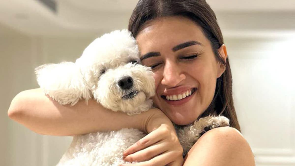 Simple Ways To Make This Diwali Paw-Fect For Your Pets | Lifestyle News