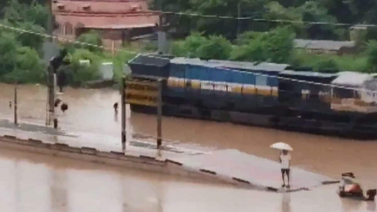 Roads Waterlogged, Railway Station Flooded As Heavy Rain Lashes Rajasthan, IMD Predicts More Downpour