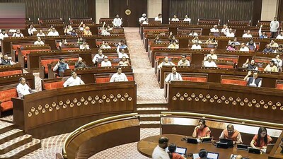 The Rajya Sabha, under Article 83, is a permanent House and one-third of its members retire every second year after a tenure of six years. (PTI)