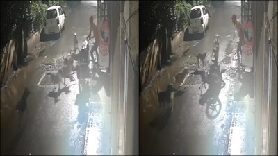 Caught On Cam: Maharashtra Man Narrowly Escapes After Being Attacked By ...