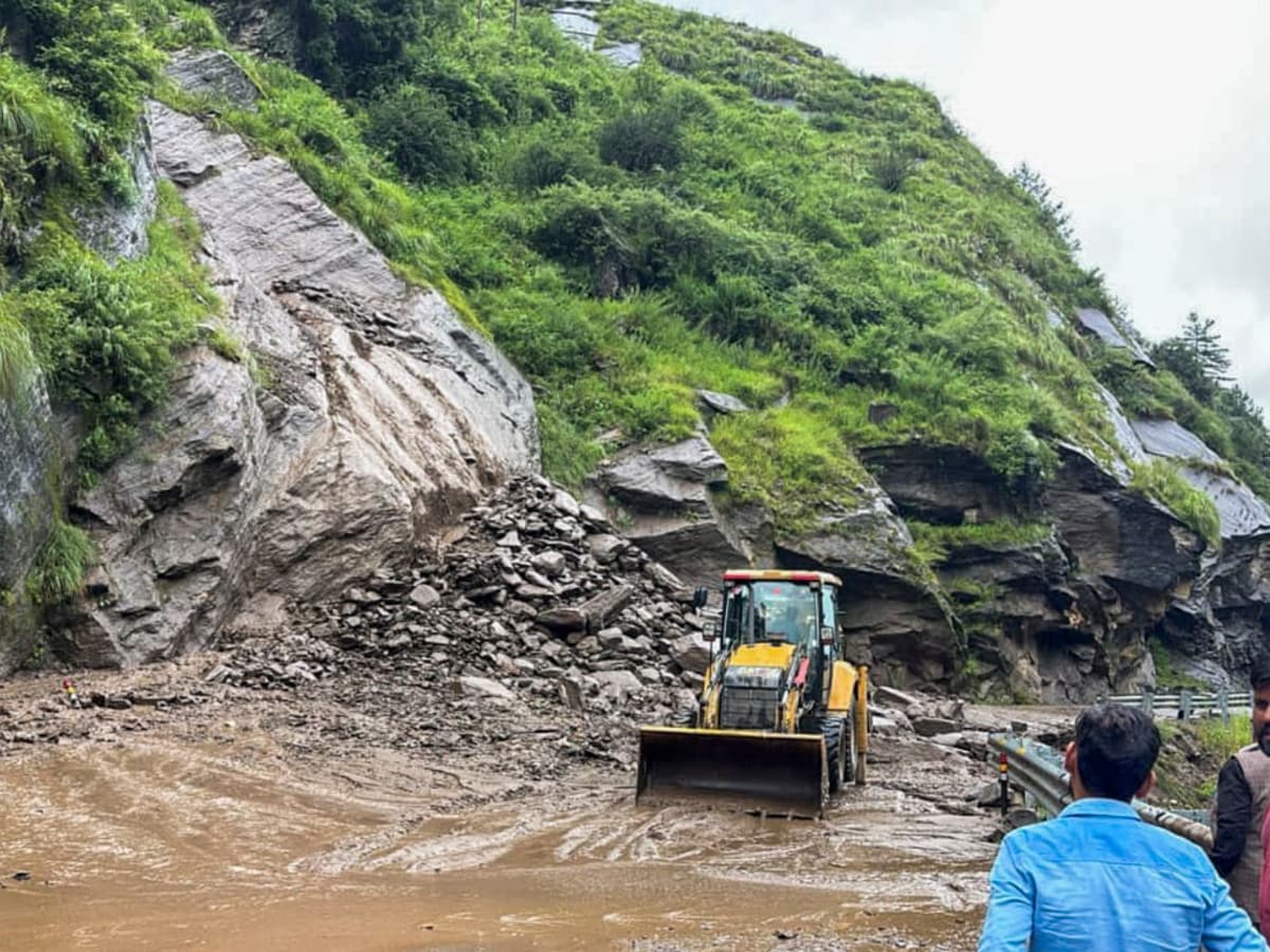 Uttarkashi Cloudbursts, Mudslide: Can Vetiver Prevent Landslides In Hilly Regions? Explained | Explainers News - News18