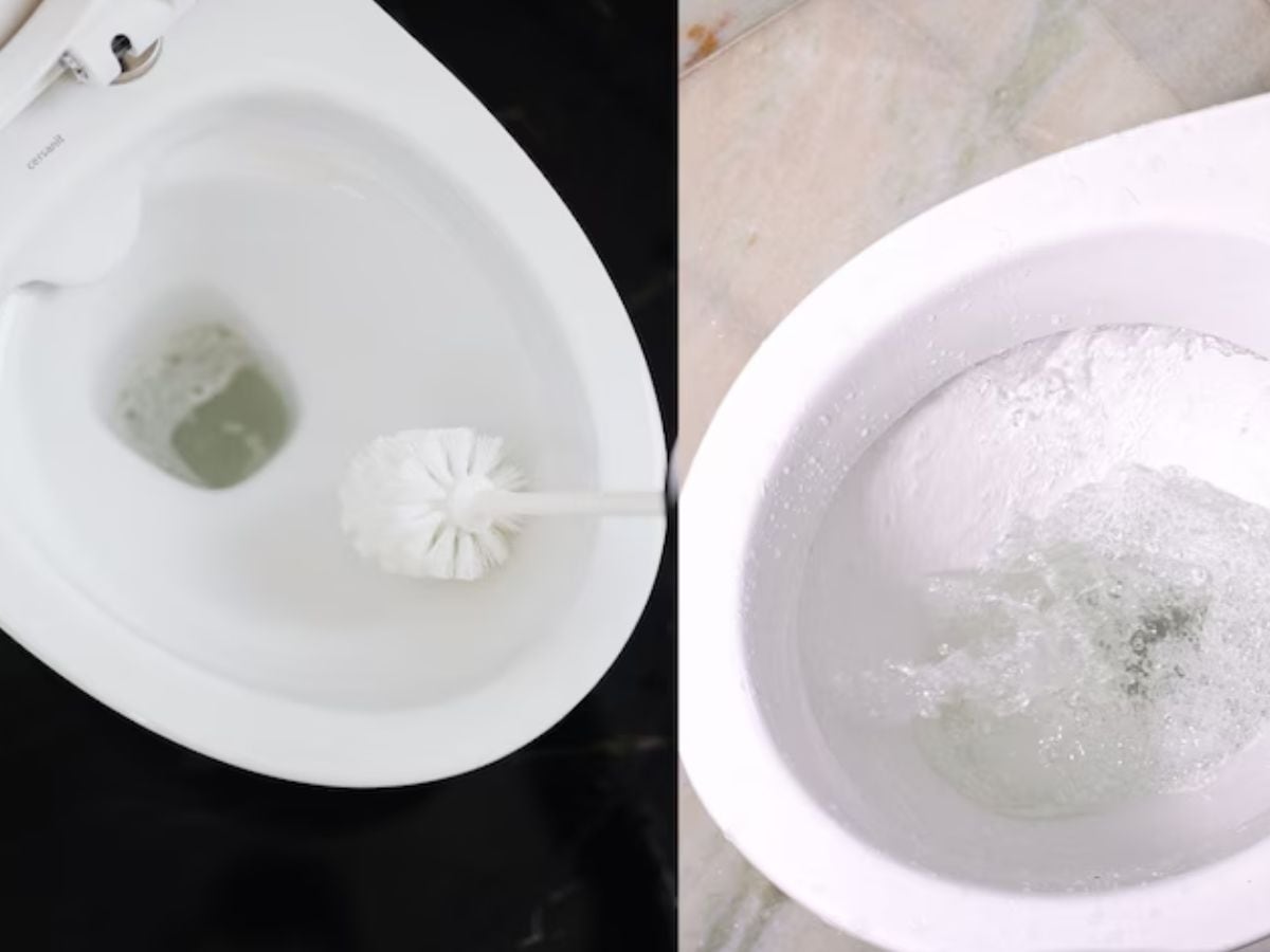 Many people simply throw coffee grounds in the bin after brewing their daily cup, but experts say this kitchen waste can double up as a natural, inexpensive way to clean and freshen bathrooms. Used coffee powder has properties that make it an effective scrubber, odour neutraliser, and eco-friendly alternative to chemical cleaners. (News18 Telugu) Many people simply throw coffee grounds in the bin after brewing their daily cup, but experts say this kitchen waste can double up as a natural, inexpensive way to clean and freshen bathrooms. Used coffee powder has properties that make it an effective scrubber, odour neutraliser, and eco-friendly alternative to chemical cleaners. (News18 Telugu)