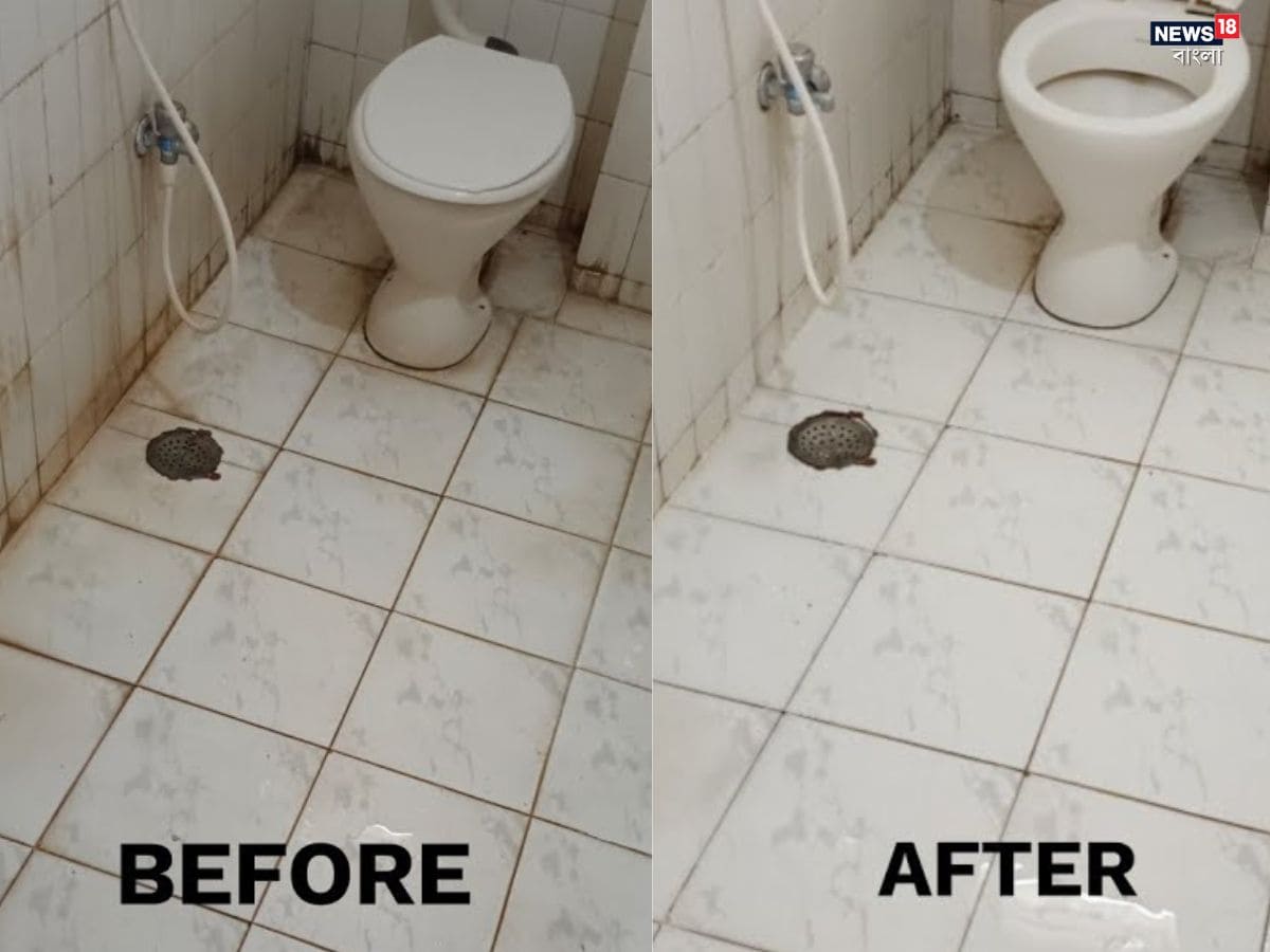 To clean, simply add a teaspoon of coffee grounds into the toilet bowl and scrub with a brush. Within minutes, light stains and grime are removed, leaving the surface looking fresh and polished. (News18 Telugu) To clean, simply add a teaspoon of coffee grounds into the toilet bowl and scrub with a brush. Within minutes, light stains and grime are removed, leaving the surface looking fresh and polished. (News18 Telugu)