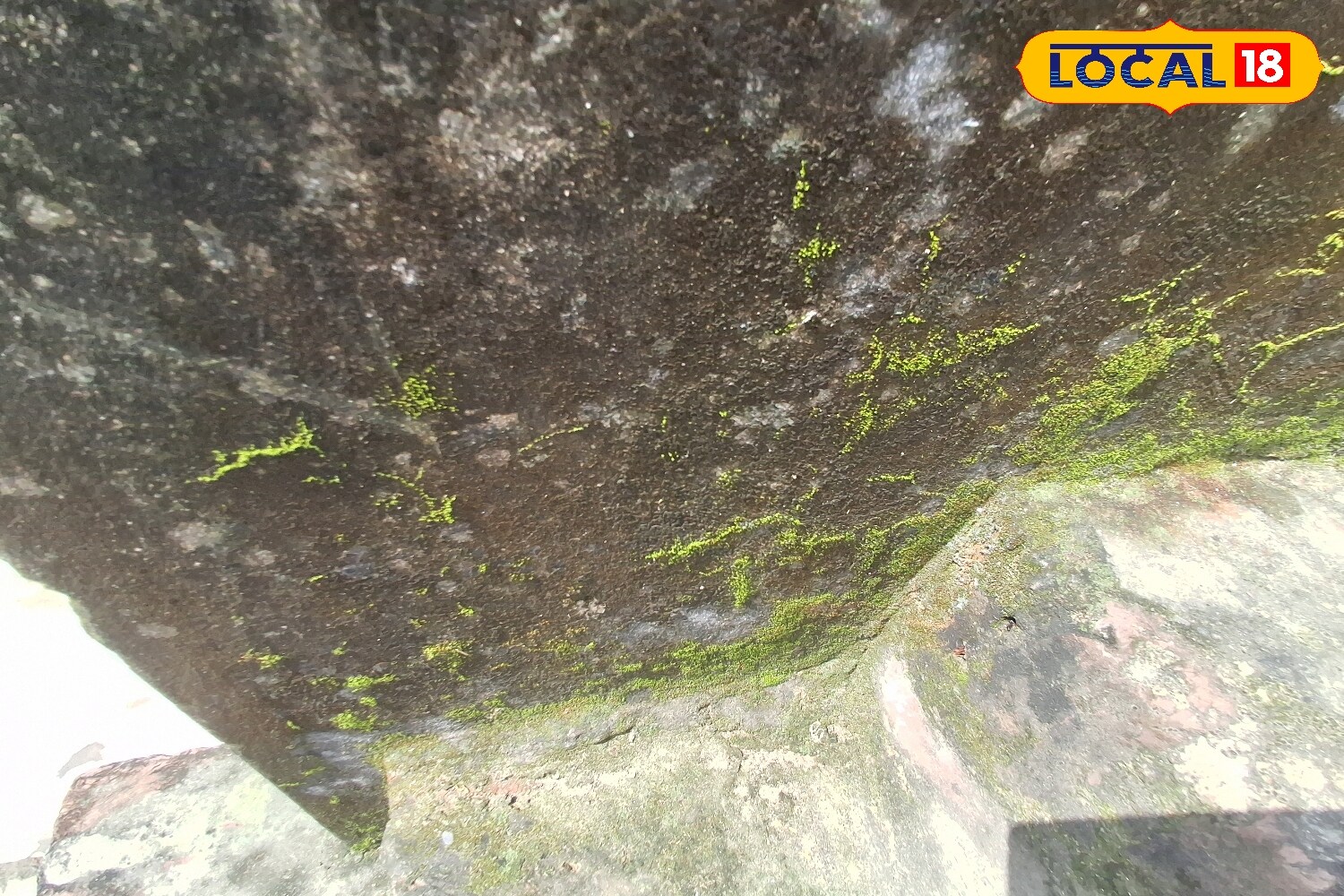 Household washing powder mixed in hot water is another practical option. Stirring two tablespoons of powder in a bucket of hot water and scrubbing the mossy area thoroughly with a brush not only removes moss but also prevents future build-up. Repeating this process two to three times a week keeps walls, tiles, and ceilings clean and shiny. (News18 Hindi) Household washing powder mixed in hot water is another practical option. Stirring two tablespoons of powder in a bucket of hot water and scrubbing the mossy area thoroughly with a brush not only removes moss but also prevents future build-up. Repeating this process two to three times a week keeps walls, tiles, and ceilings clean and shiny. (News18 Hindi)