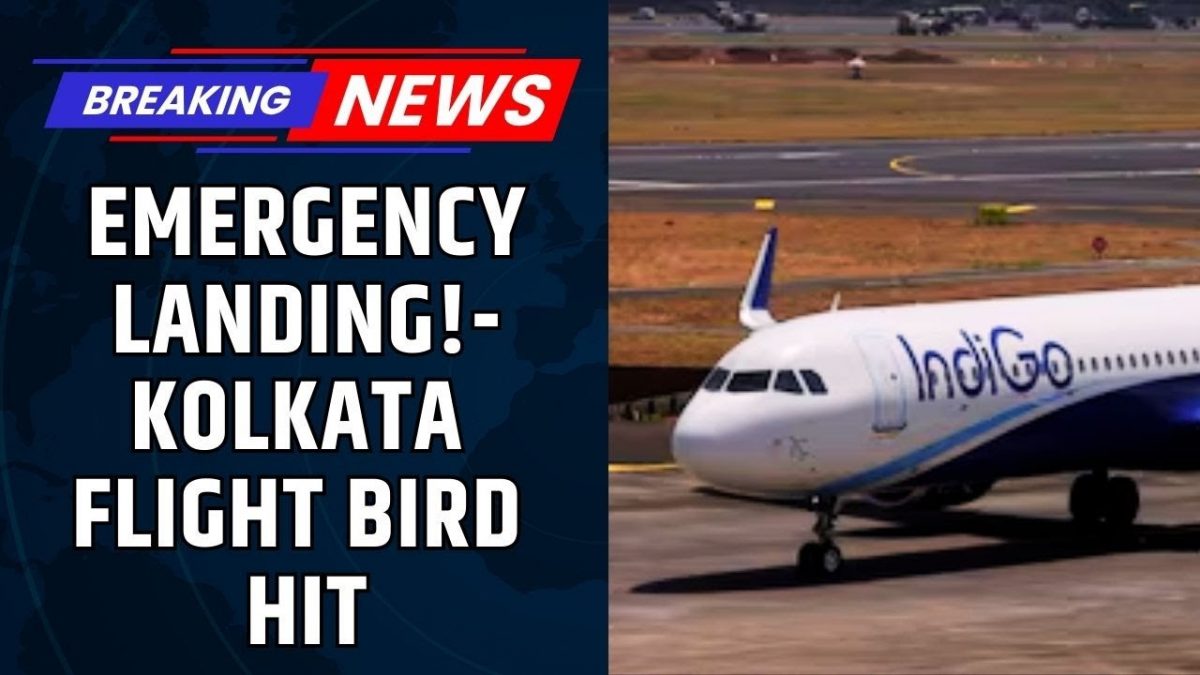 Kolkata-Bound Flight Emergency Landing in Nagpur After Bird Hit | Emergency Landing, Flight Diverted Kolkata-Bound Flight Emergency Landing in Nagpur After Bird Hit | Emergency Landing, Flight Diverted