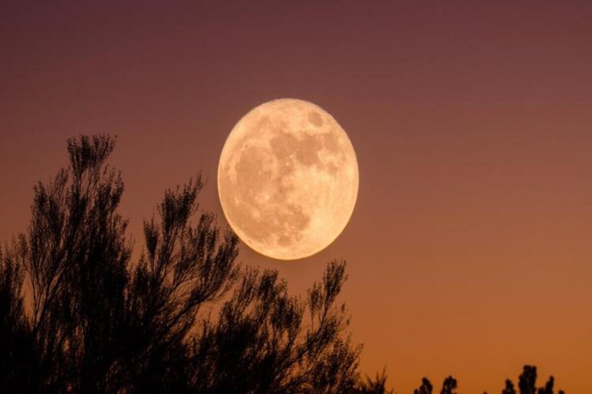 This astrological combination is considered highly inauspicious and is believed to bring mental unrest, confusion, and sudden unexpected events. Experts caution that its effects may be particularly intense this time. Pregnant women are advised to exercise special care, as eclipses are traditionally said to have a negative impact on unborn children. At the same time, religious texts recommend chanting, meditation, and spiritual practices during the eclipse, which are considered especially fruitful. (News18 Bengali)