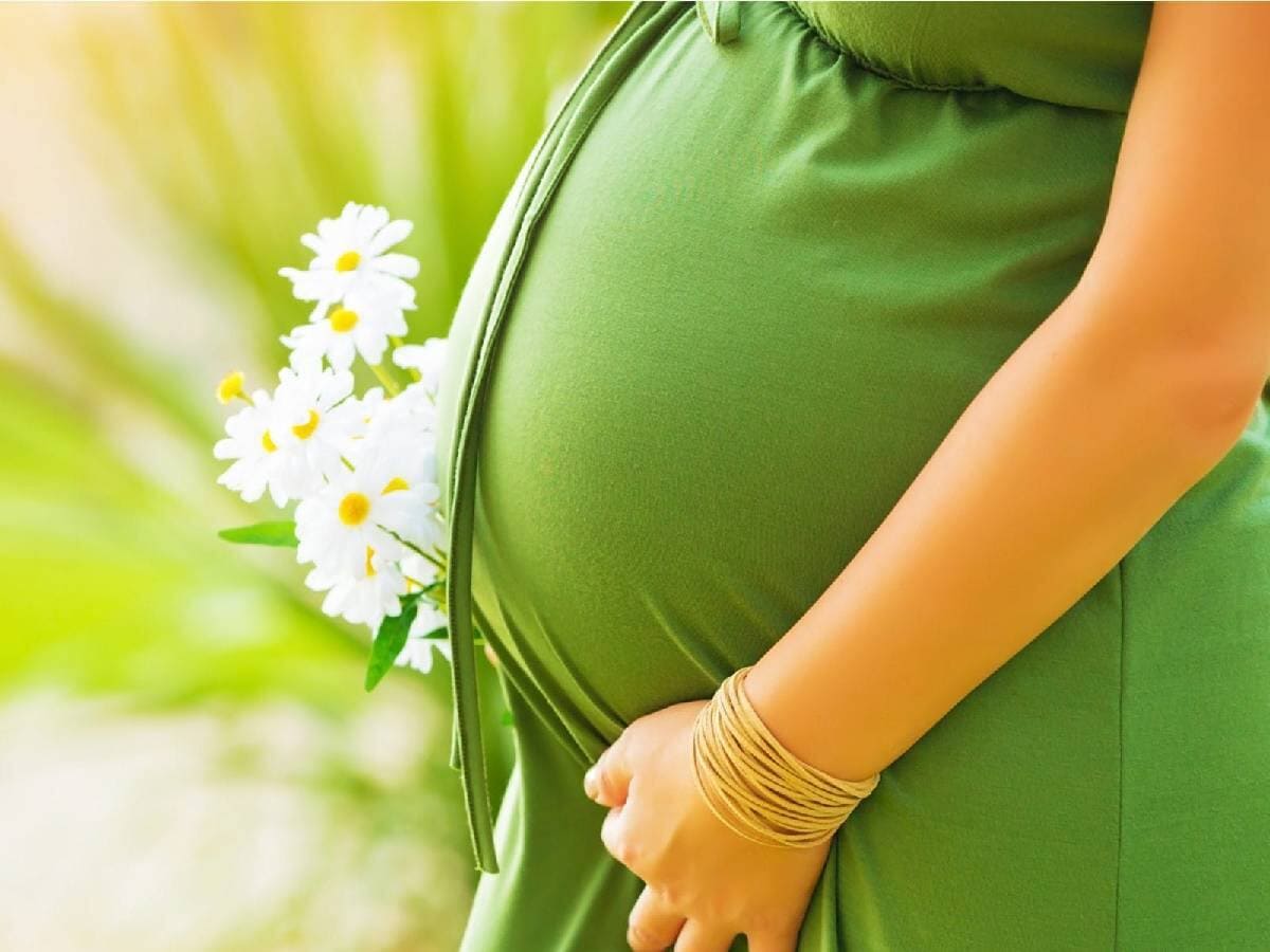 Bulgaria offers approximately 58.6 weeks of maternity leave. With strong legal protections and government backing, Bulgarian mothers can focus on family care without the stress of returning to work prematurely. (News18 Malayalam) Bulgaria offers approximately 58.6 weeks of maternity leave. With strong legal protections and government backing, Bulgarian mothers can focus on family care without the stress of returning to work prematurely. (News18 Malayalam)