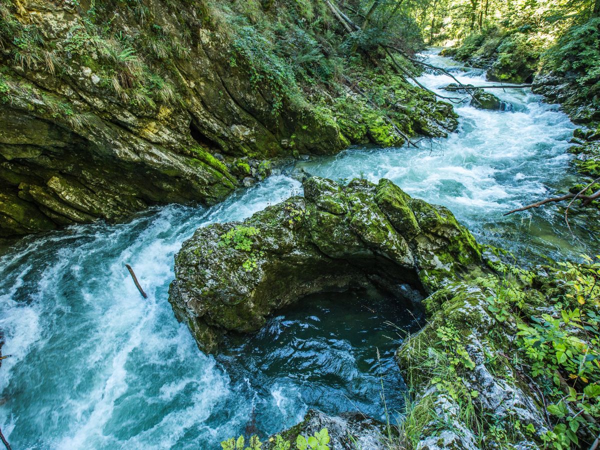 Danube river flows through 10 countries and reaches borders