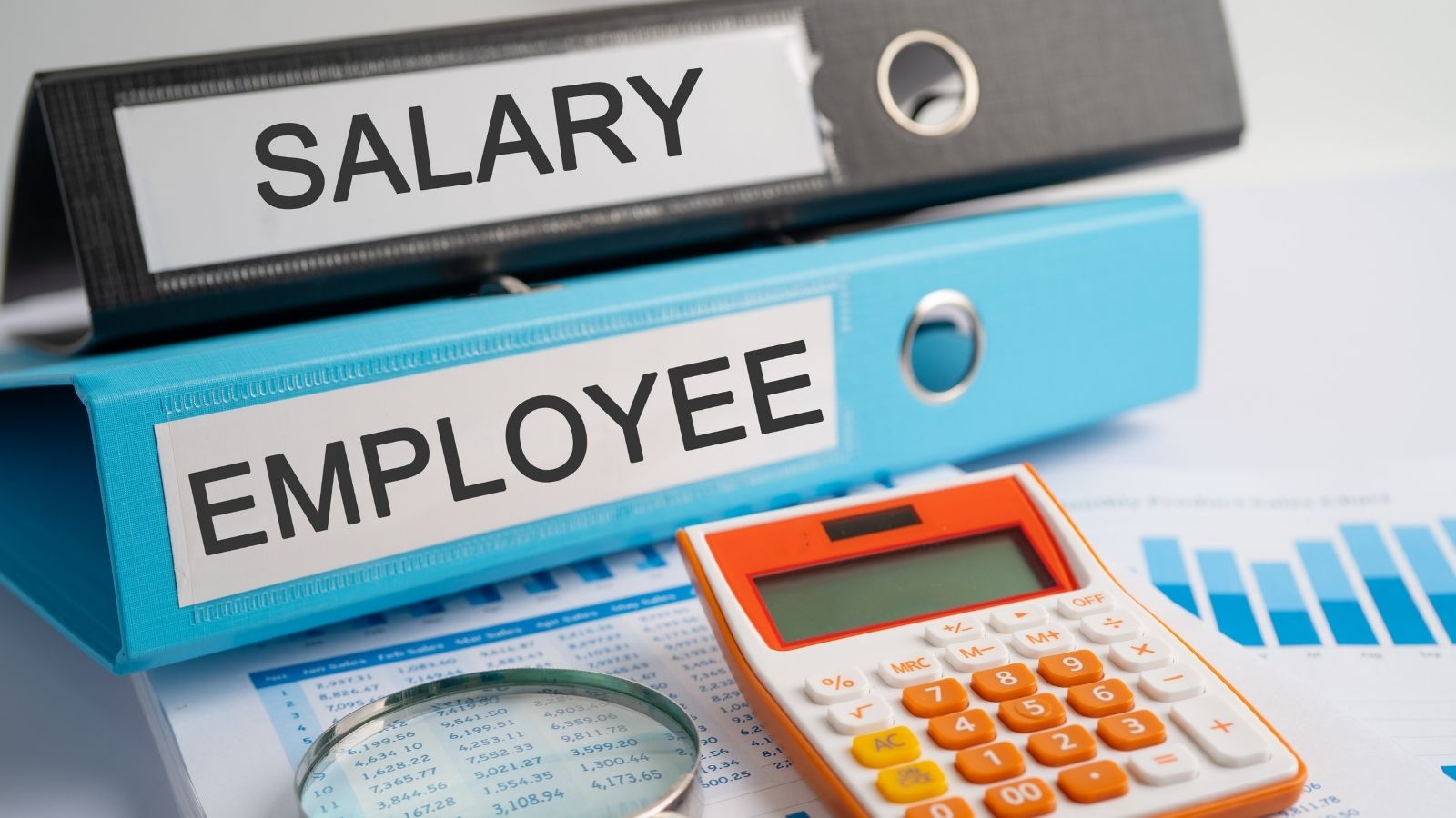 IBPS RRB 2025 Salary: Salary, Pay Scale, Job Profile And More IBPS RRB 2025 Salary: Salary, Pay Scale, Job Profile And More