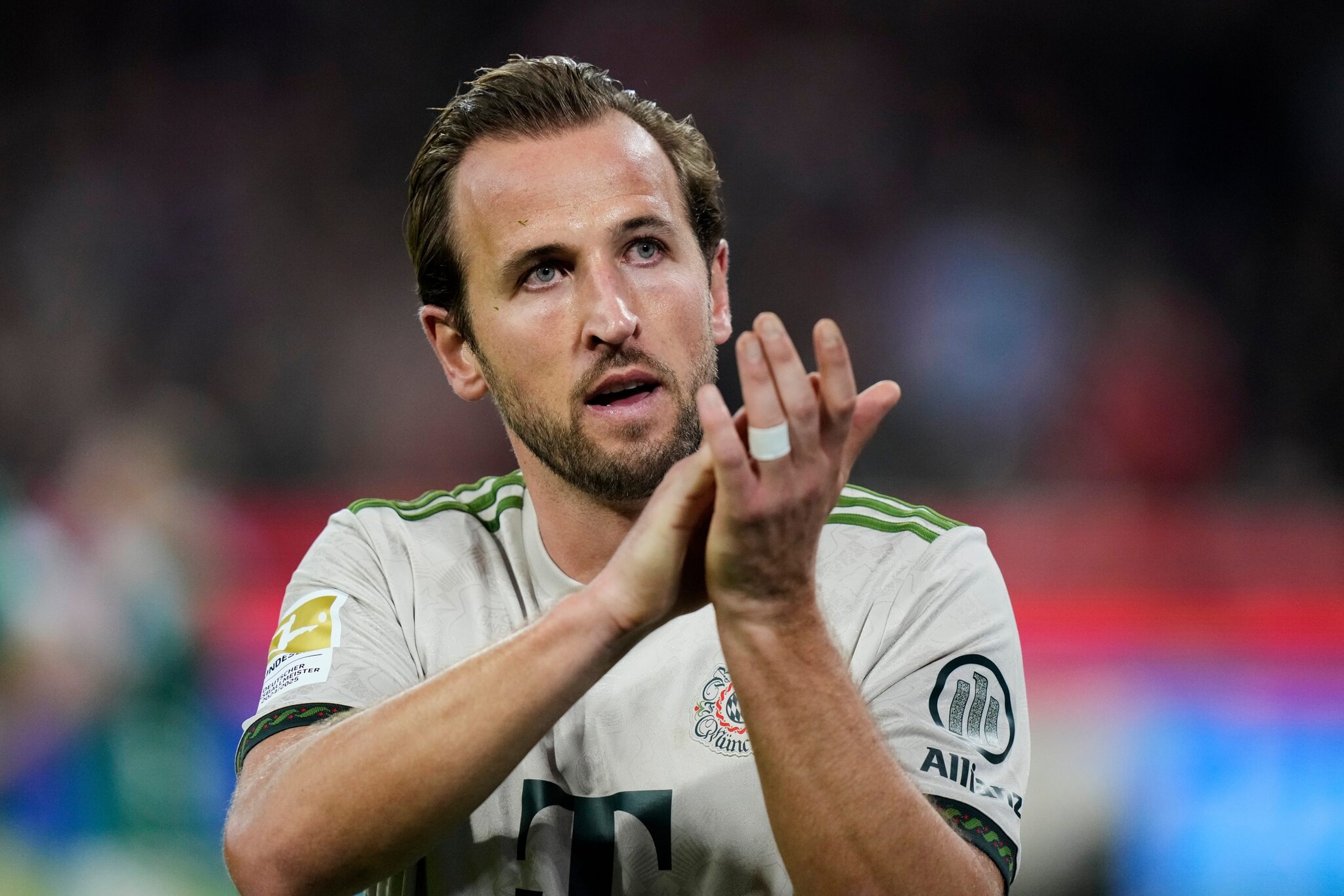 Germany Soccer Bundesliga