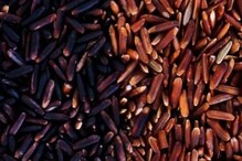 Difference Between Brown Rice And Black Rice: Which One Is Healthier?