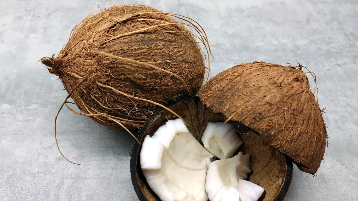 India's Coastal Cuisine: Rediscovering Forgotten Ingredients in 2025