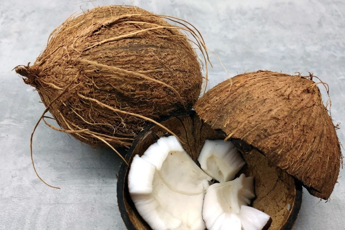 5 Forgotten Ingredients Of Indian Coastal Kitchens