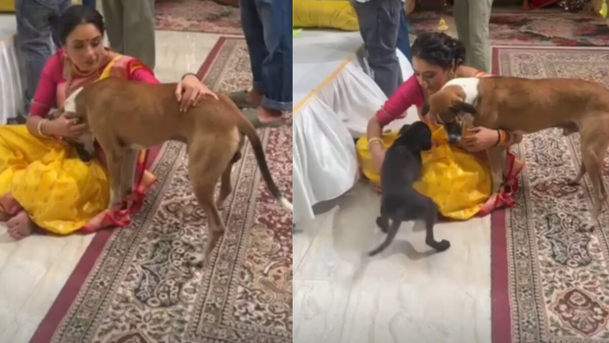 Rupali Ganguly Interacts with Dogs on Anupamaa Sets