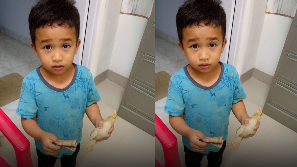 Boy Takes Injured Chick to Hospital With Rs 10 Savings
