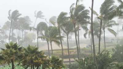 How a Pacific Current Rewires India’s Rains