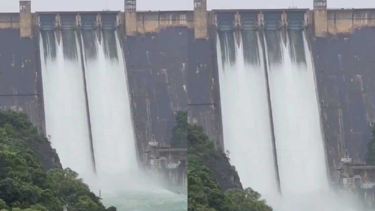 Amid Heavy Rain, Bhakra Dam Level Rises 3 ft In 24 Hours, Authorities On Alert