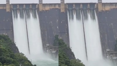 Bhakra Dam level rises 3 ft in 24 hours. (Image: X)