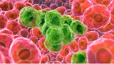 Tired skin isn’t just about late nights or stress, it could be “zombie cells” holding you back.