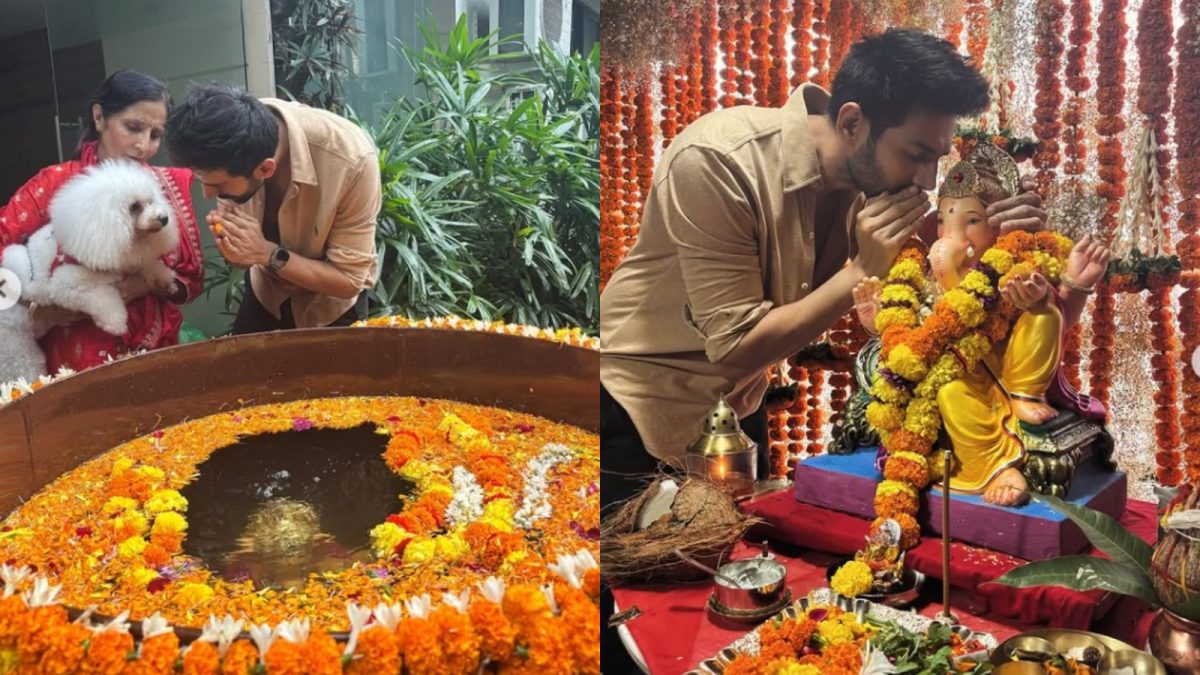 Kartik Aaryan Celebrates Film Wrap, Ganpati Visarjan