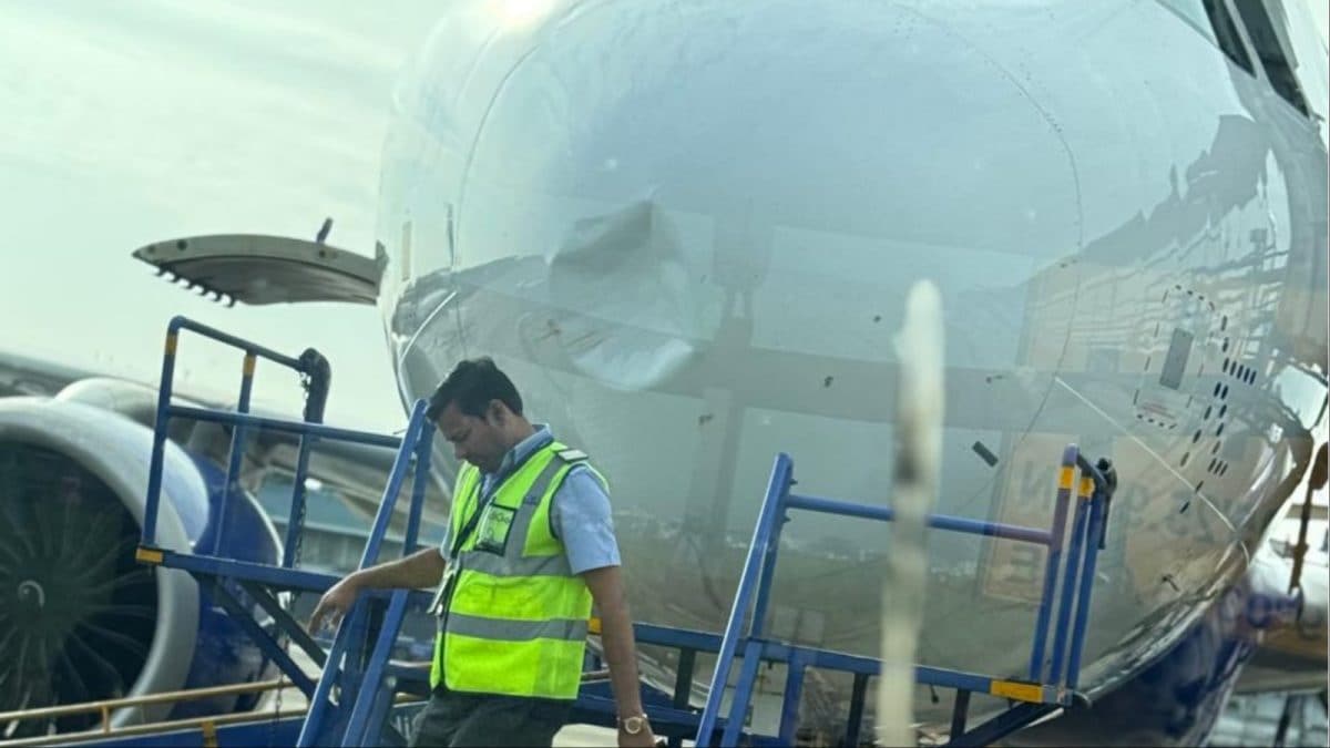 Kolkata-Bound IndiGo Flight With 272 Passengers Returns To Nagpur After Bird Hit