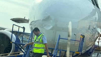 IndiGo flight suffers bird hit (Photo: News18)