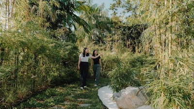 The Bamboo Grove is accessible to the public via the Changi Airport Connector. (Image: Changi Airport)