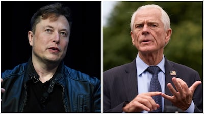 File photos of Elon Musk/Peter Navarro (AP)