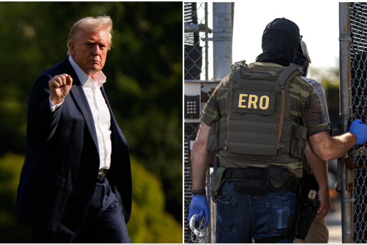 'Will Take No Nonsense': Donald Trump On Border Patrolling In Chicago ...