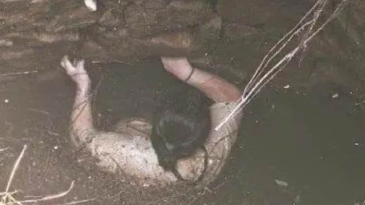 Trapped In Well With Snakes, Woman Clings To Wall For 54 Hours Before Rescue