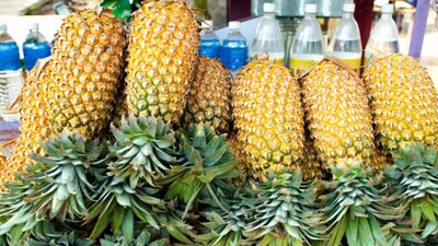 Pineapple contains bromelain, an enzyme with anti‑inflammatory properties, but it hasn’t been shown to improve sperm quality.