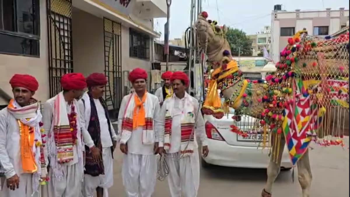 Rajasthani Youth Walk To Dwarka With Camel To Save Culture And Tradition