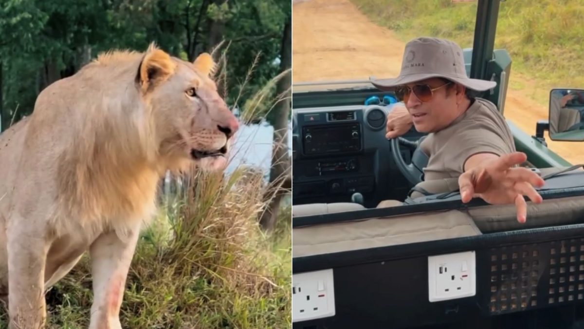 Sachin Tendulkar Enjoys Jungle Safari, Dismisses BCCI Rumors