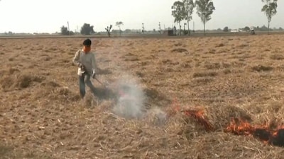 A farmer is seen burning stubble in Punjab's Amritsar. (Credits: ANI)