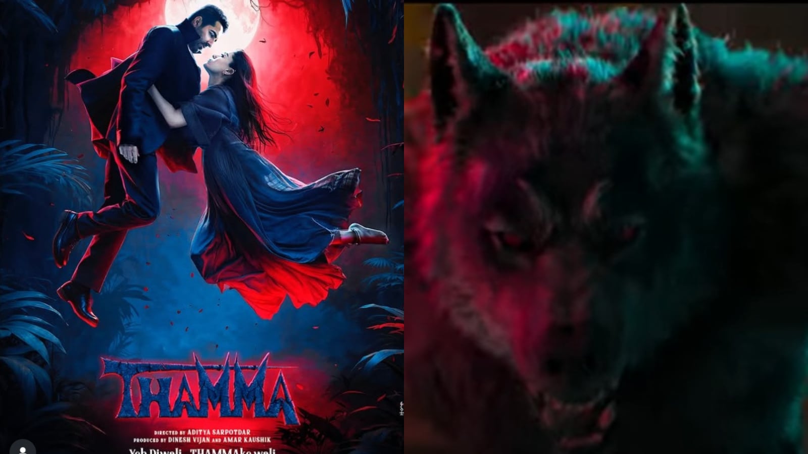 Is Varun Dhawan Back As Bhediya? Writer Niren Bhatt Drops Hint About Werewolf In Thamma Trailer Is Varun Dhawan Back As Bhediya? Writer Niren Bhatt Drops Hint About Werewolf In Thamma Trailer