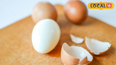 Discover the difference between cage, cage-free, and free-range eggs—and why choosing ethically matters for your health and the planet
